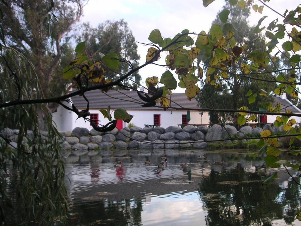 Hotel Donegal House Kaikoura Zewnętrze zdjęcie